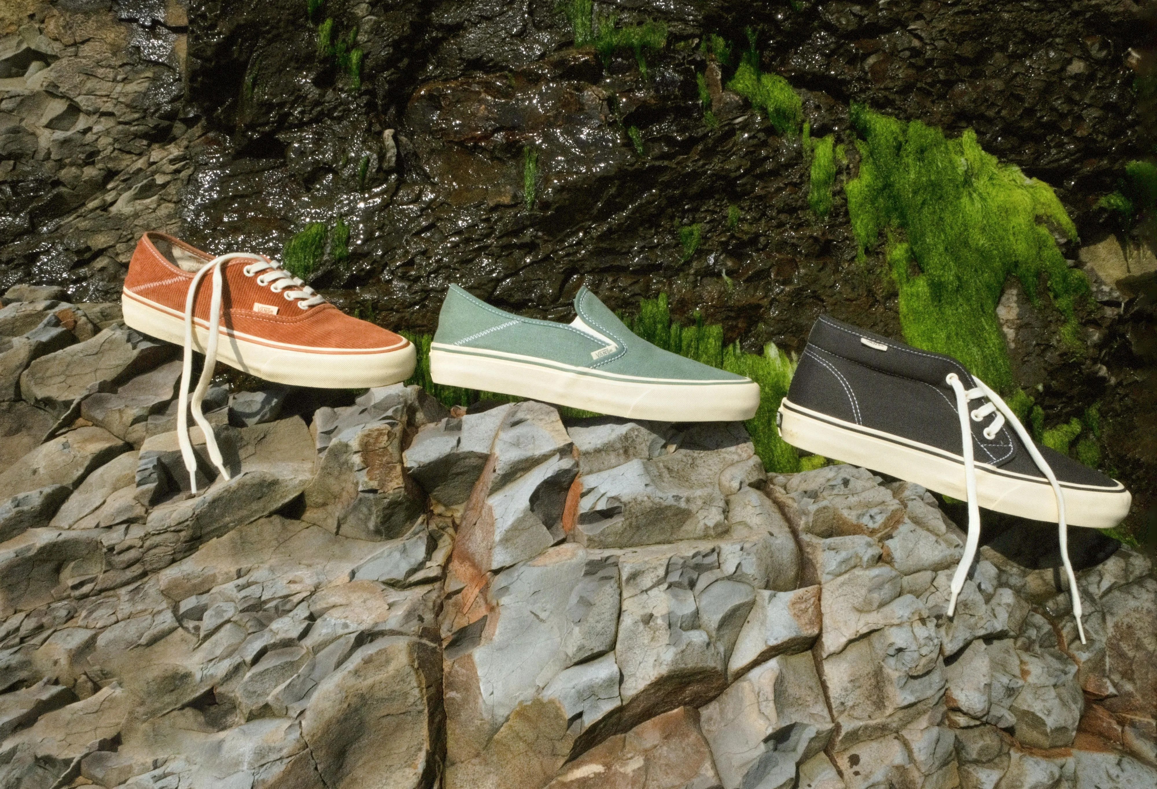 vans mollusk sneakers on a ledge