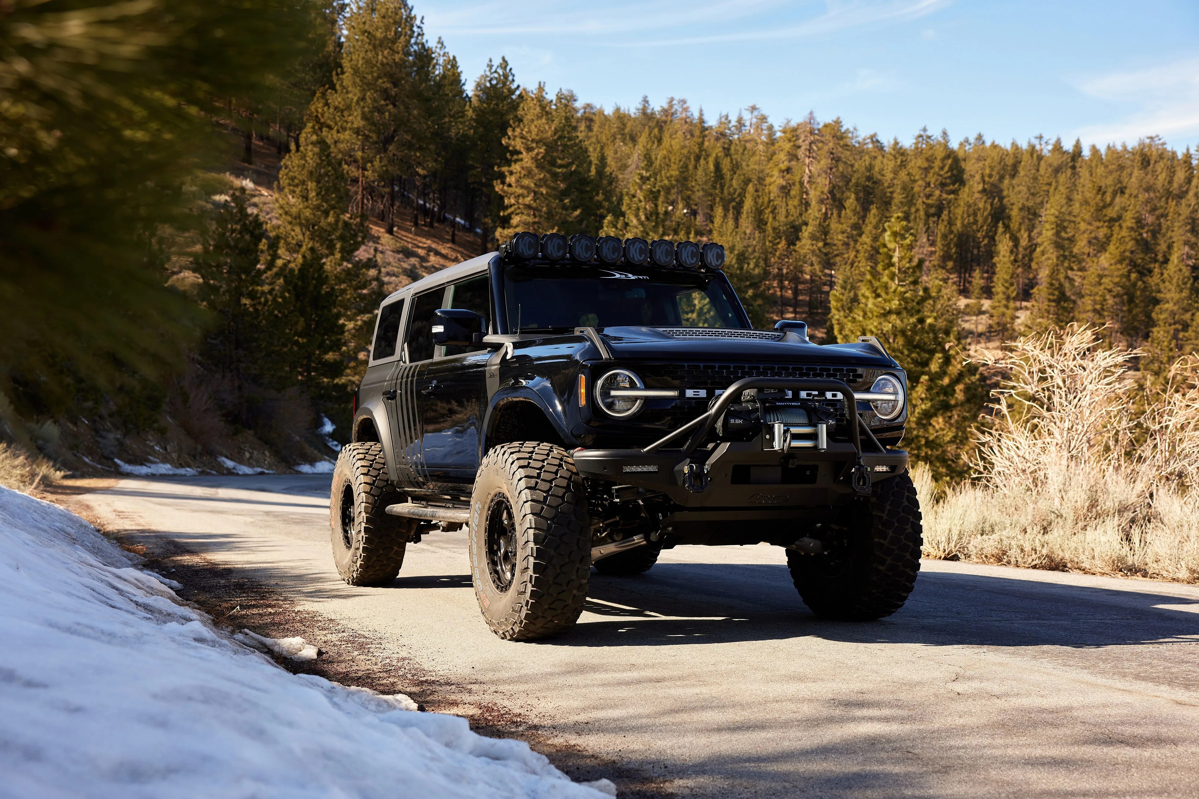 custom deberti ford bronco