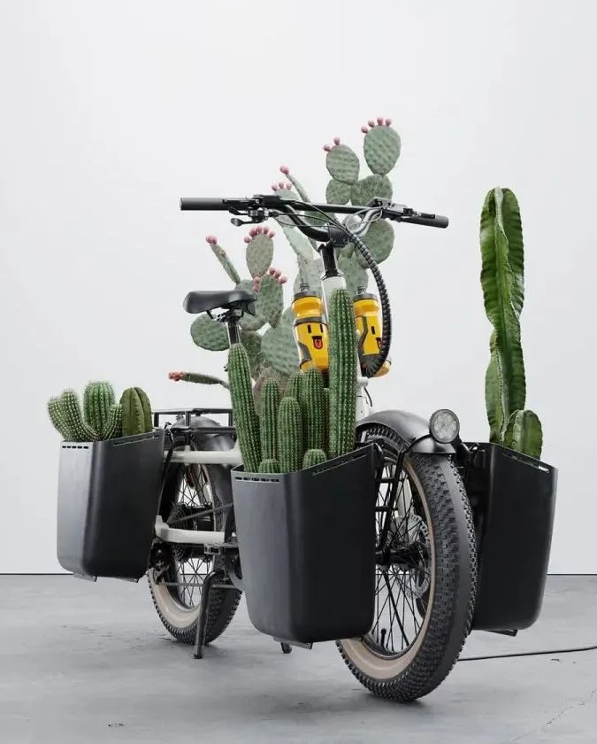 specialized e bike