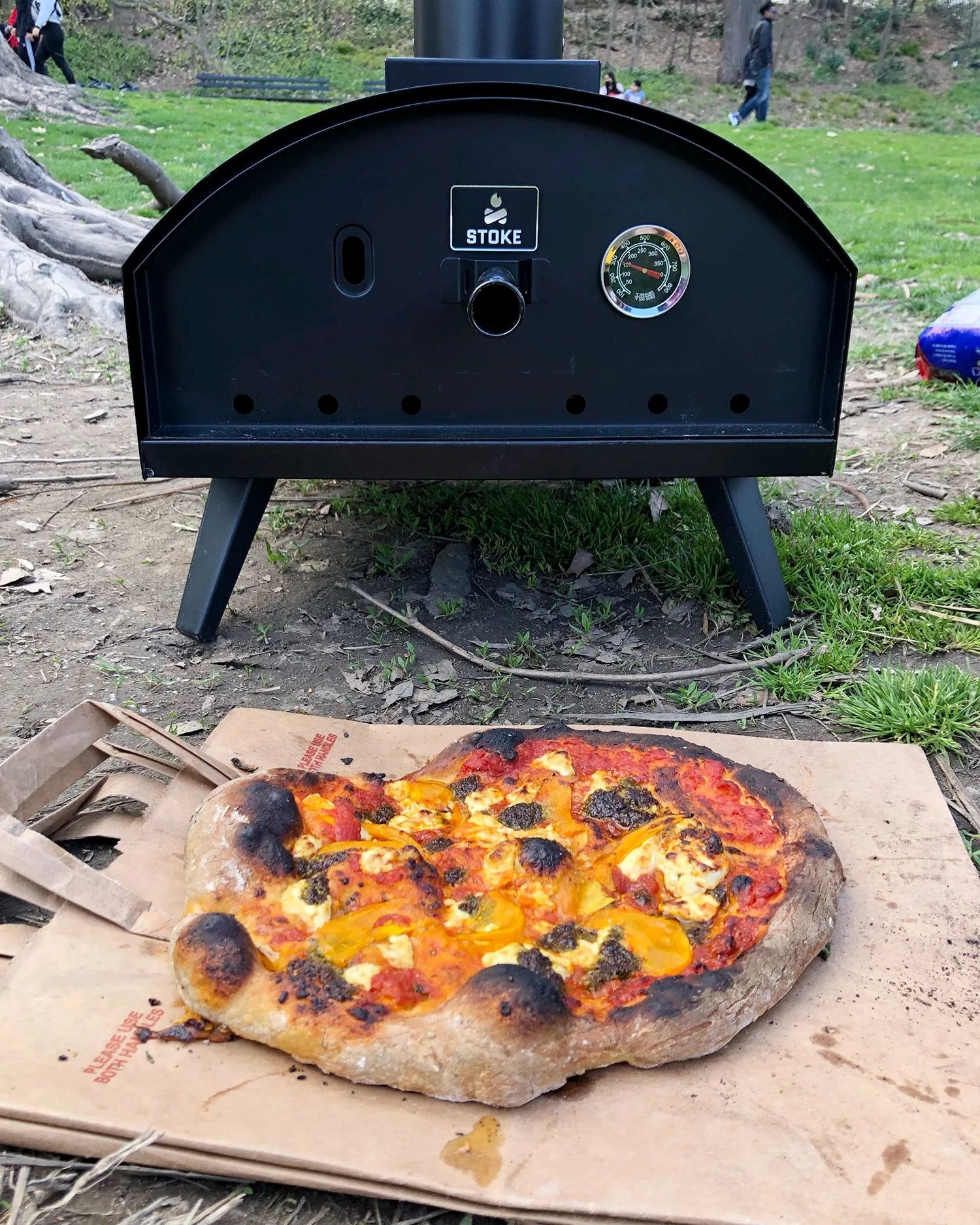 stoke fire pizza oven