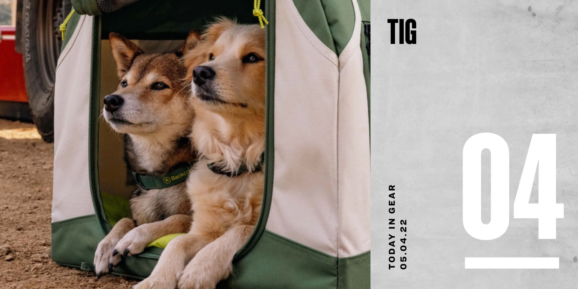 today in gear may 04 2022 dogs sitting in backcountry x petco carrier