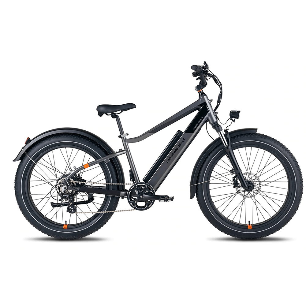 e bike