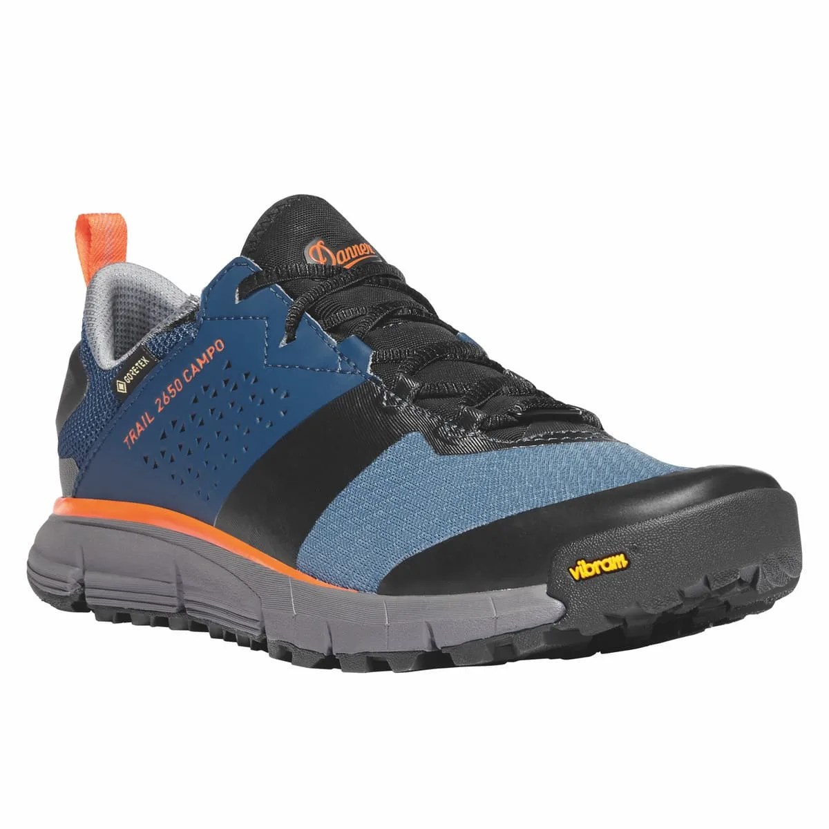 danner hiking shoe
