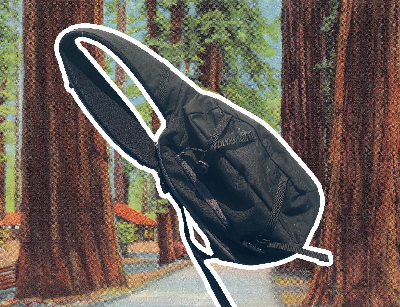 a black patagonia side bag overlayed on a photo of a forrest with trees and a road