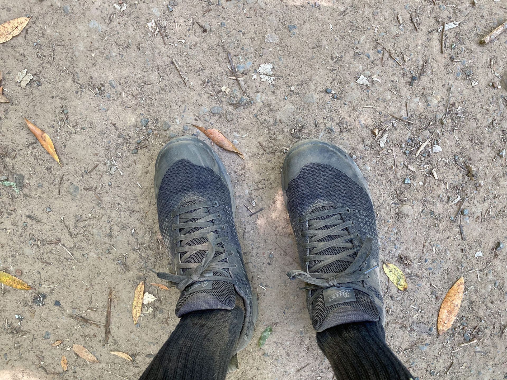 danner trail 2650 shoes on a dirt trail
