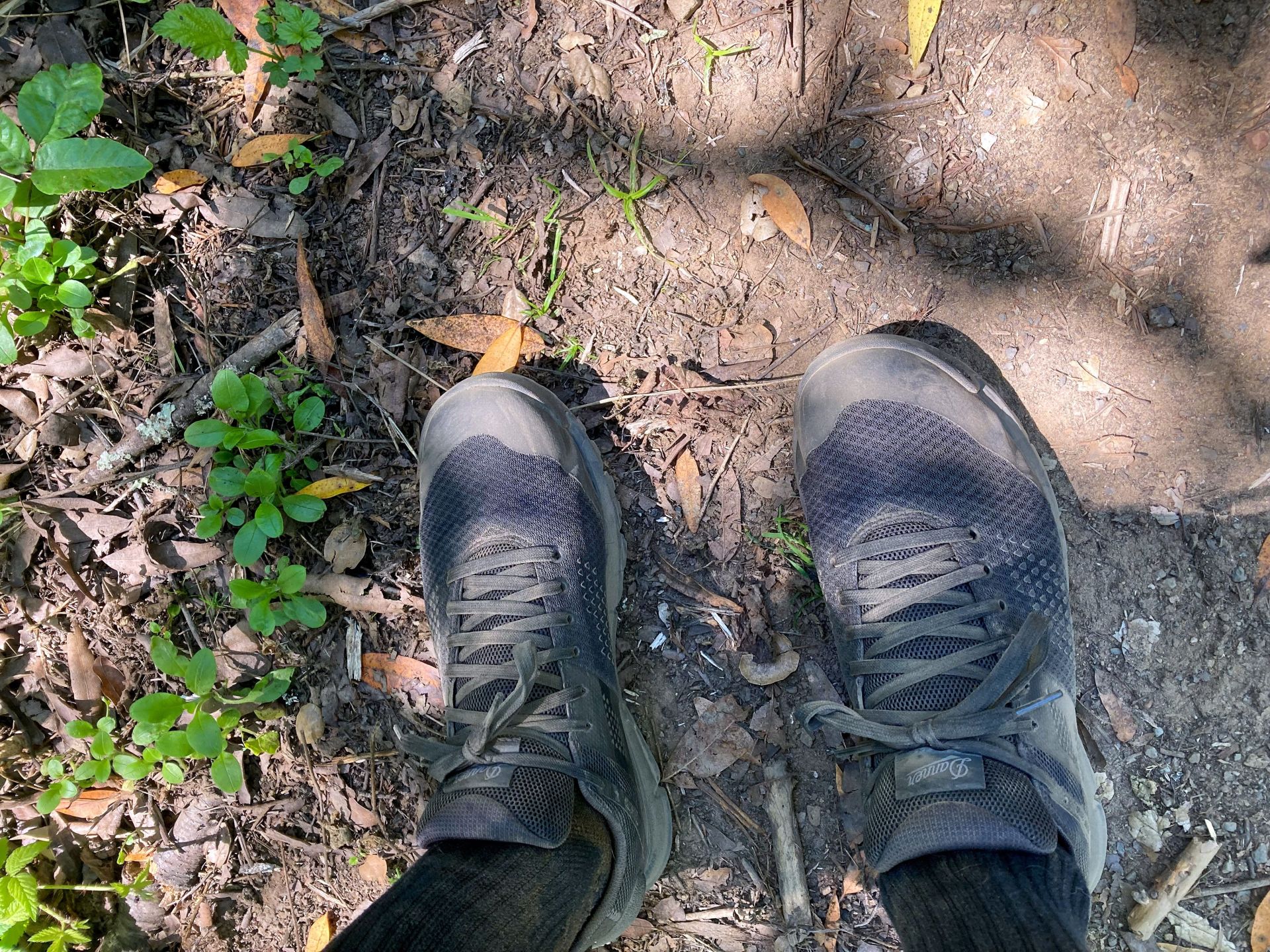 danner trail 2650 shoes on a trail