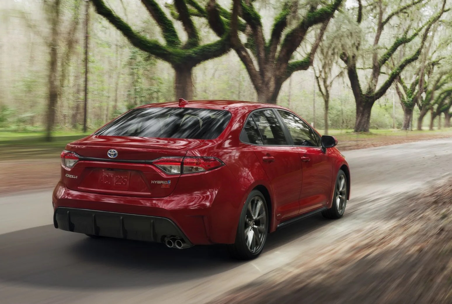 toyota corolla driving on tree lined paved road