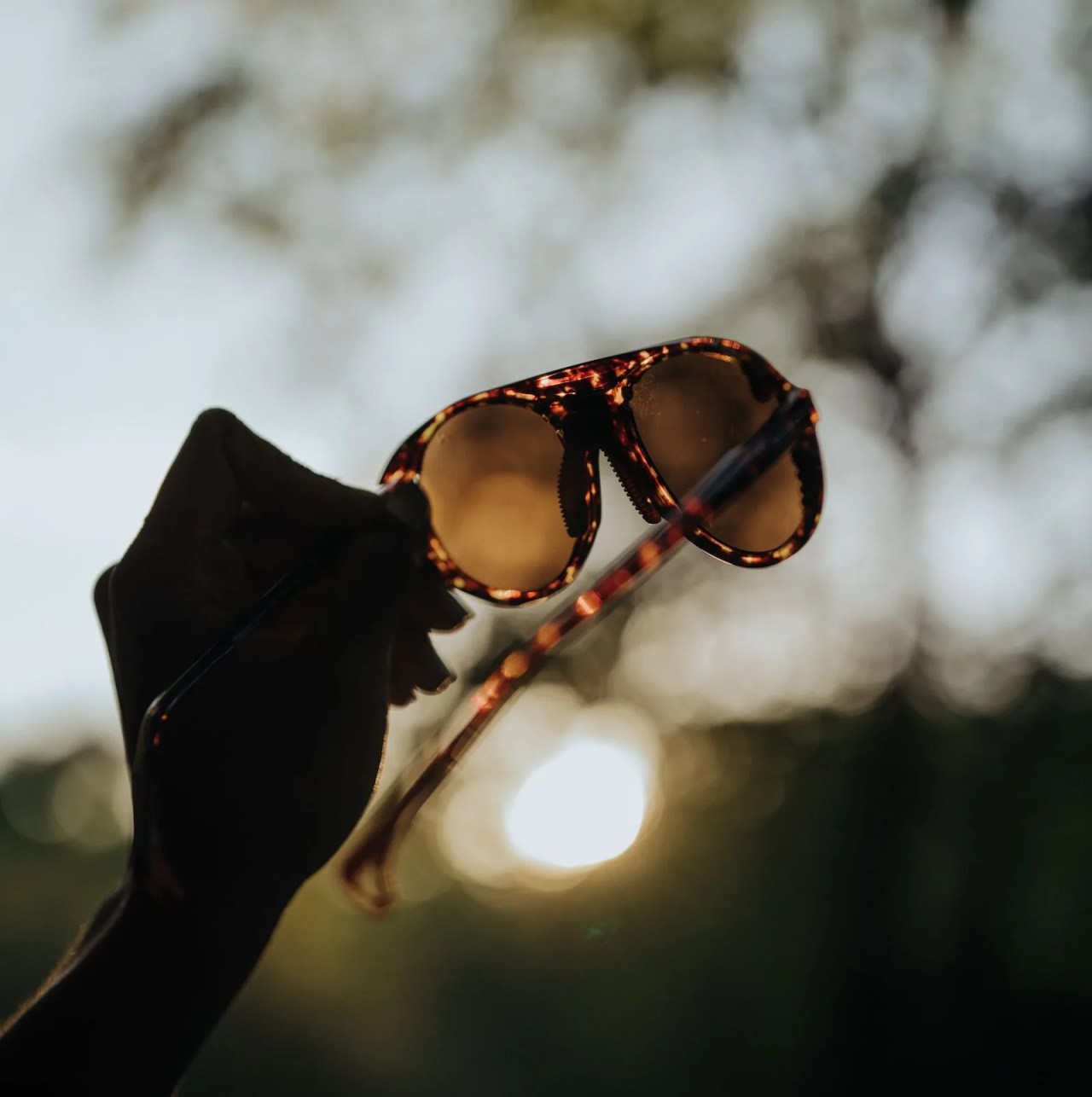 sunglasses