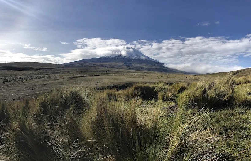 Cotopaxi Rapid Ascent™