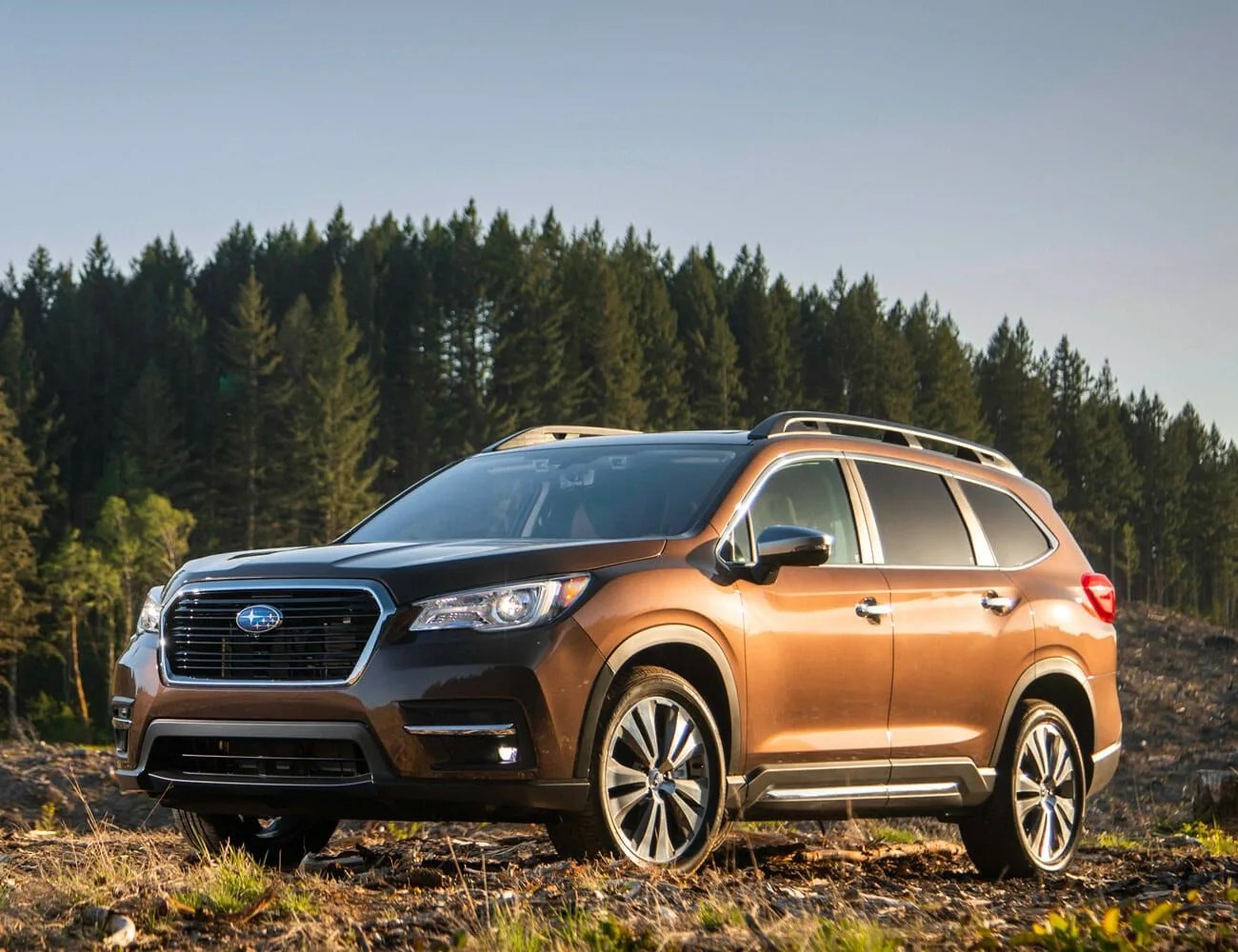 subaru ascent parked on forest ground in front of al one of trees