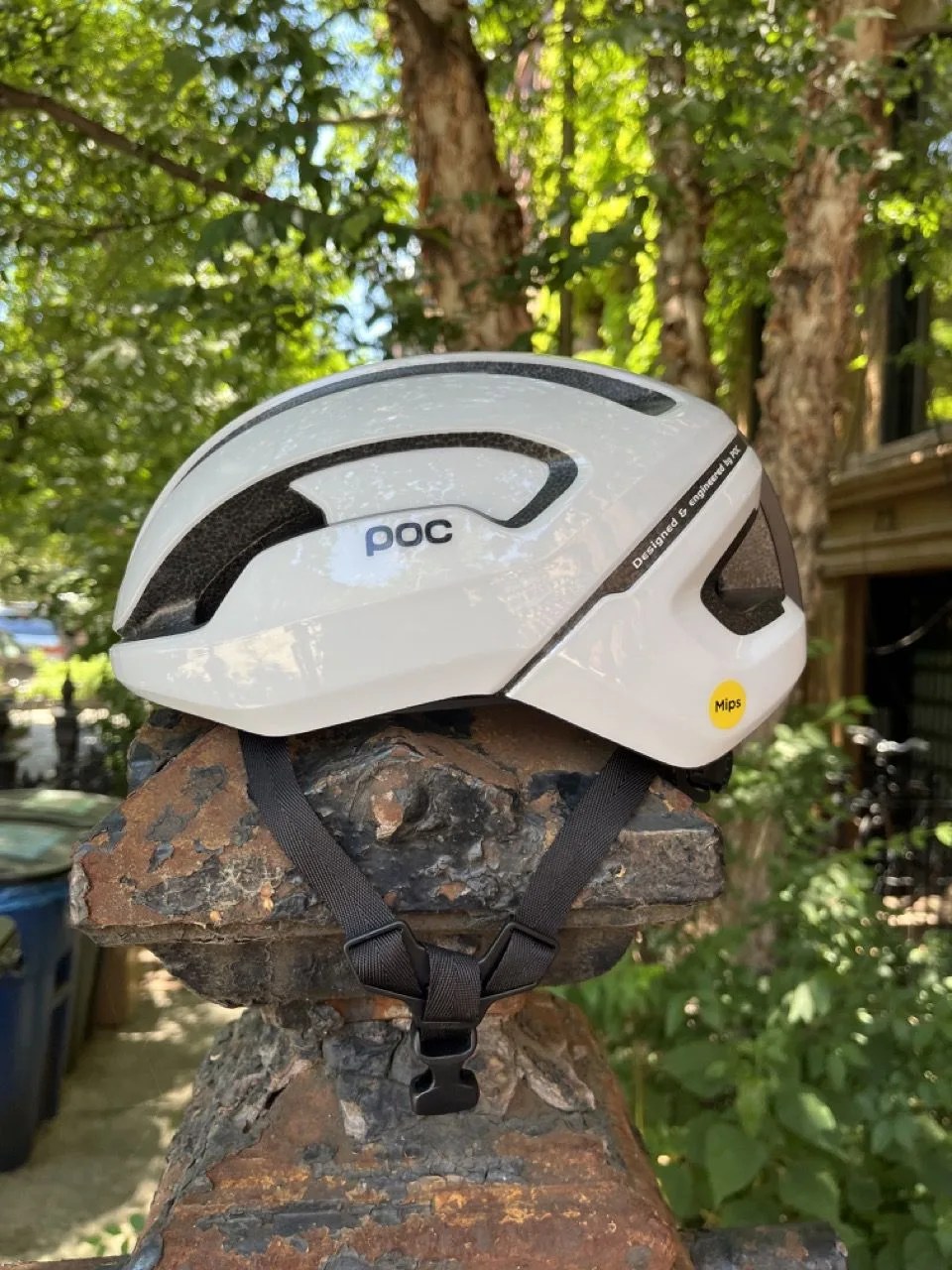 helmet