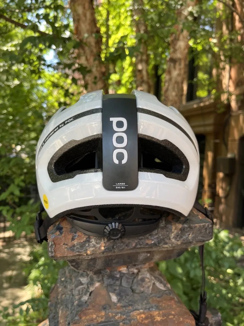 helmet