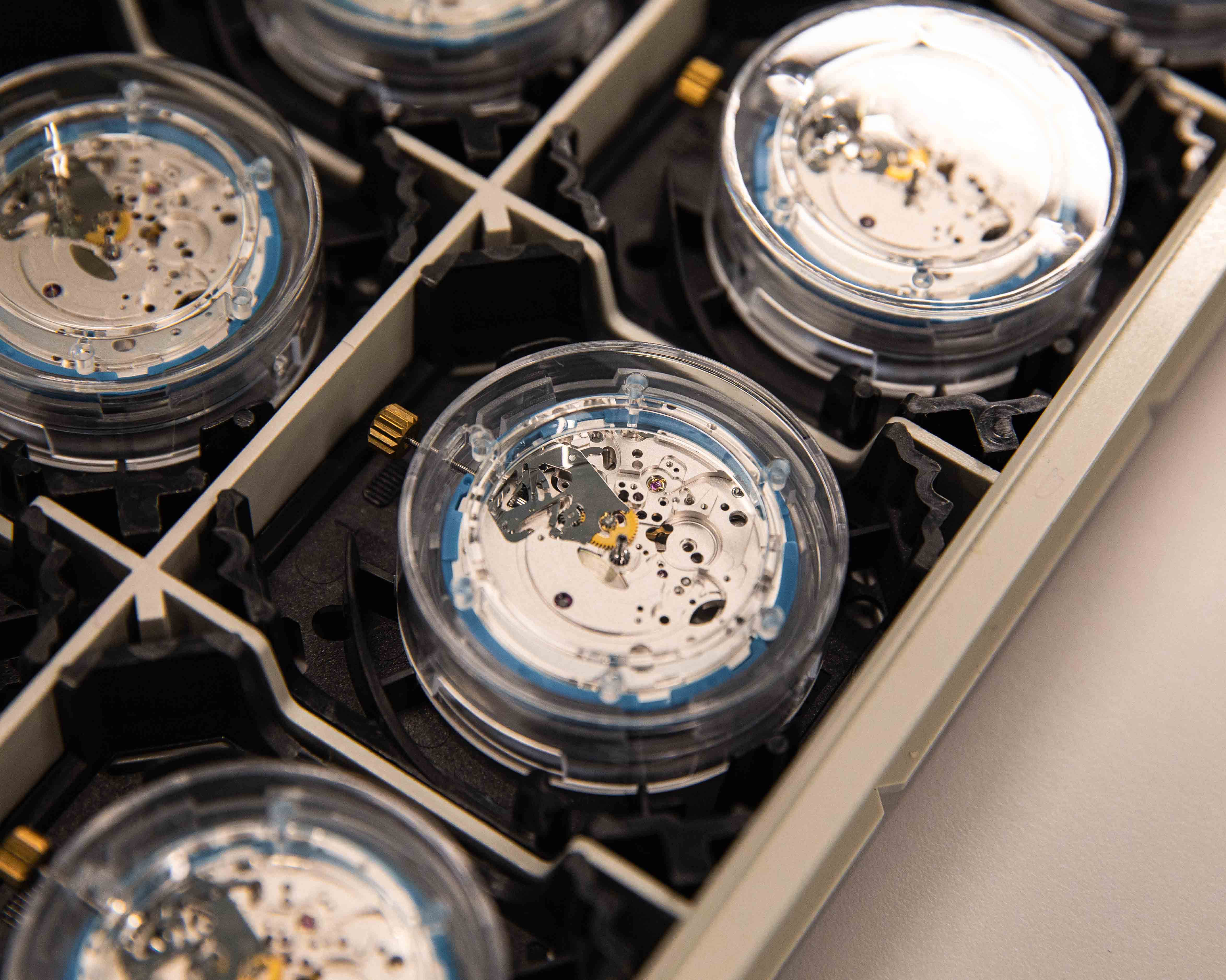 tudor watch movements in a tray