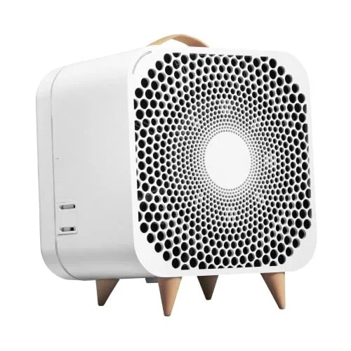 air purifying fan