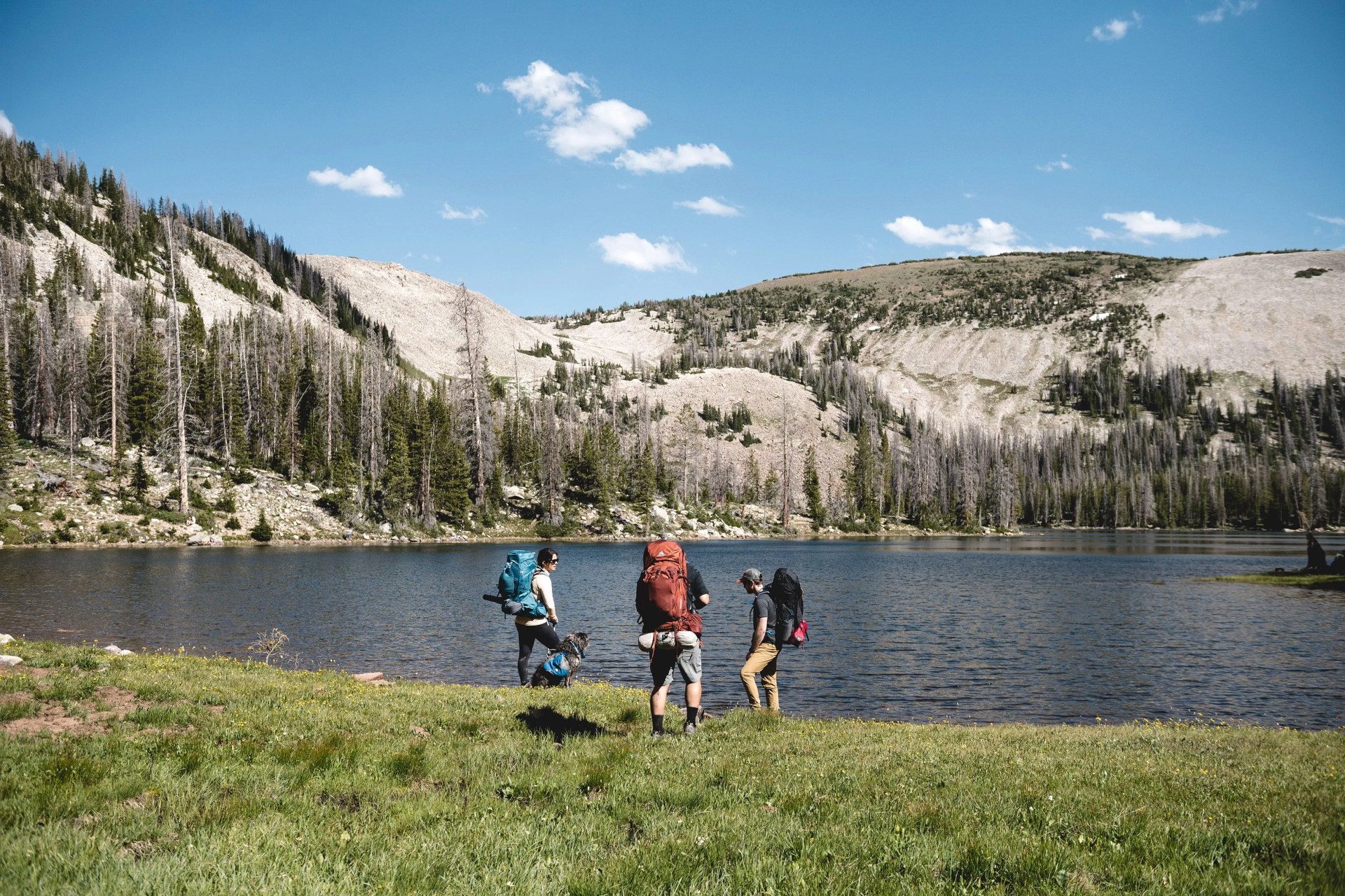 three backpackers standing by lake