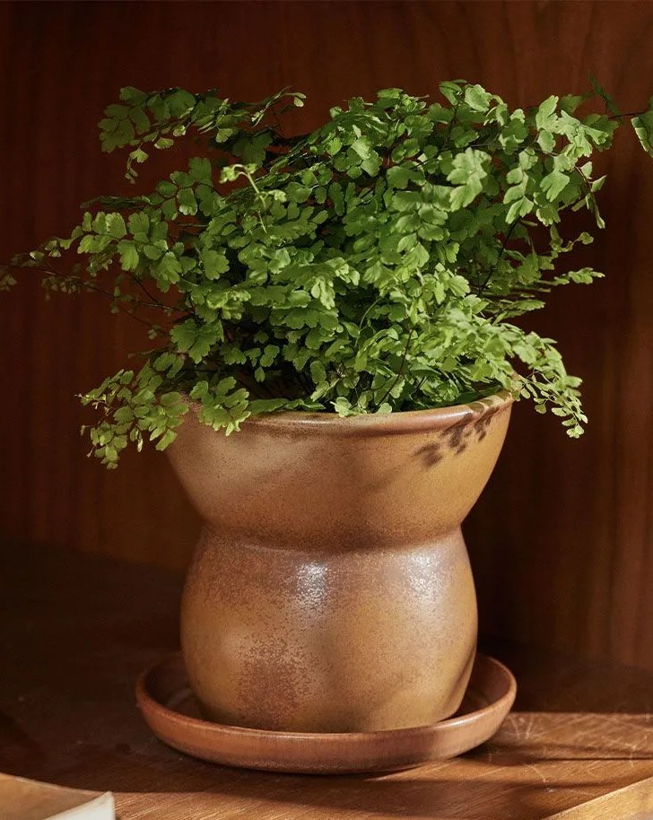 houseplant planter vase ashtray