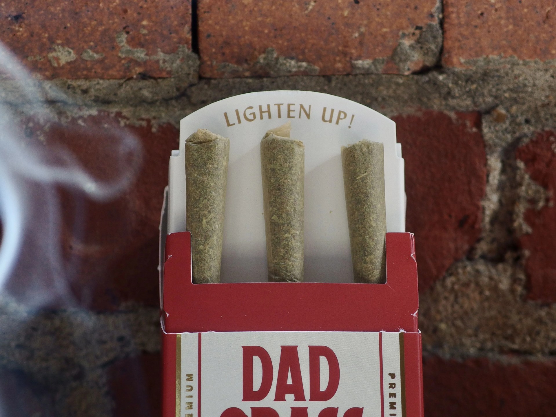 dad grass