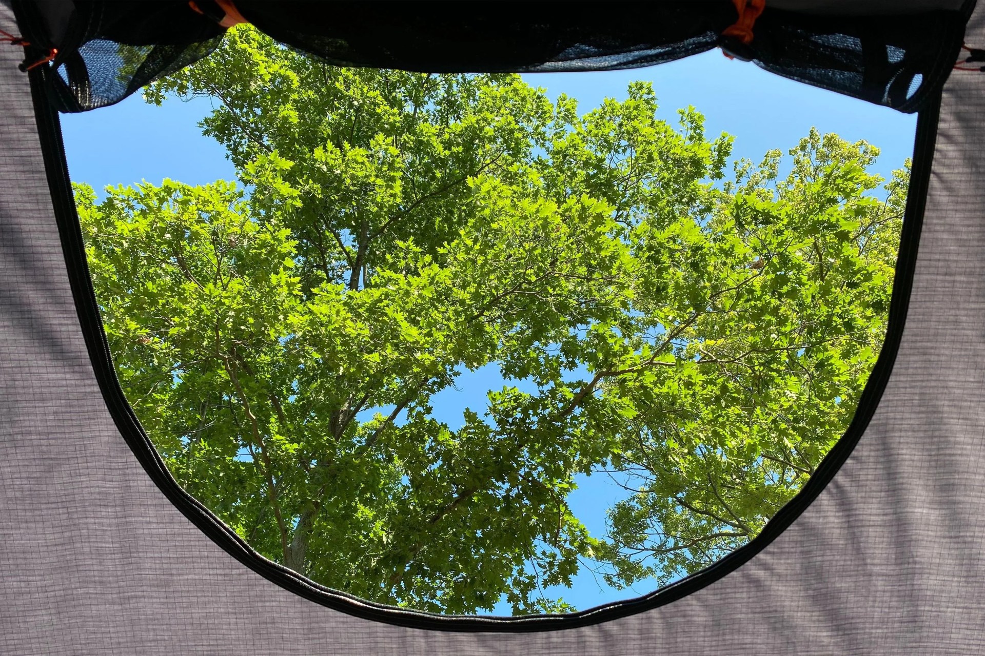 screened skylight of the roofnest condor xl tent