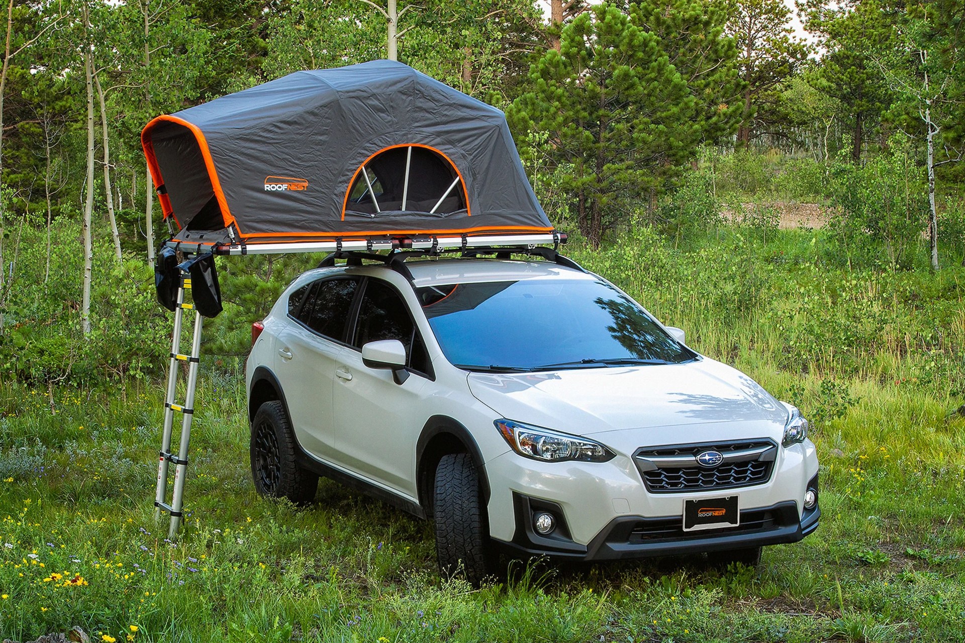 roofnest meadowlark rooftop tent on a car