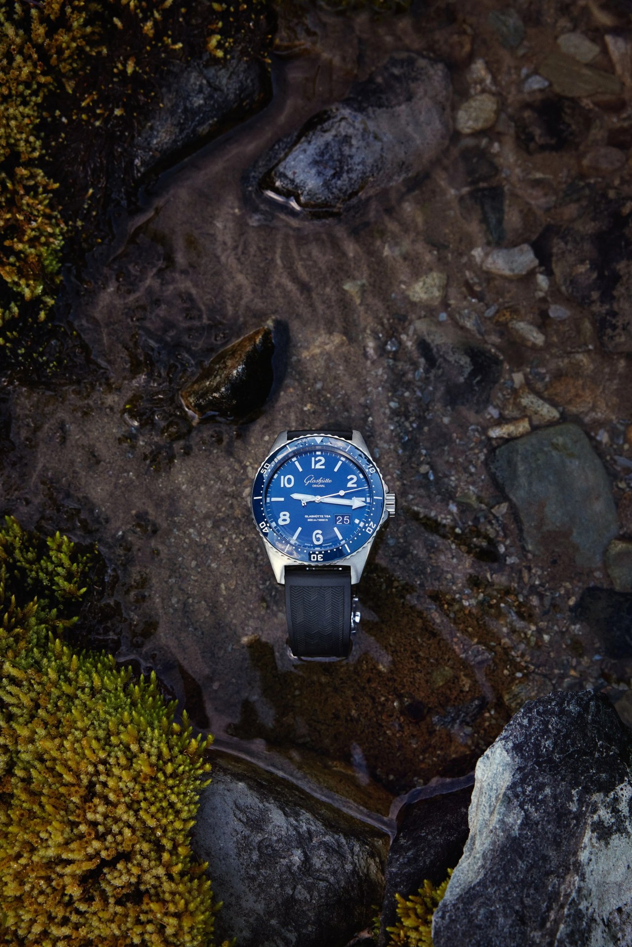 glashutte watch