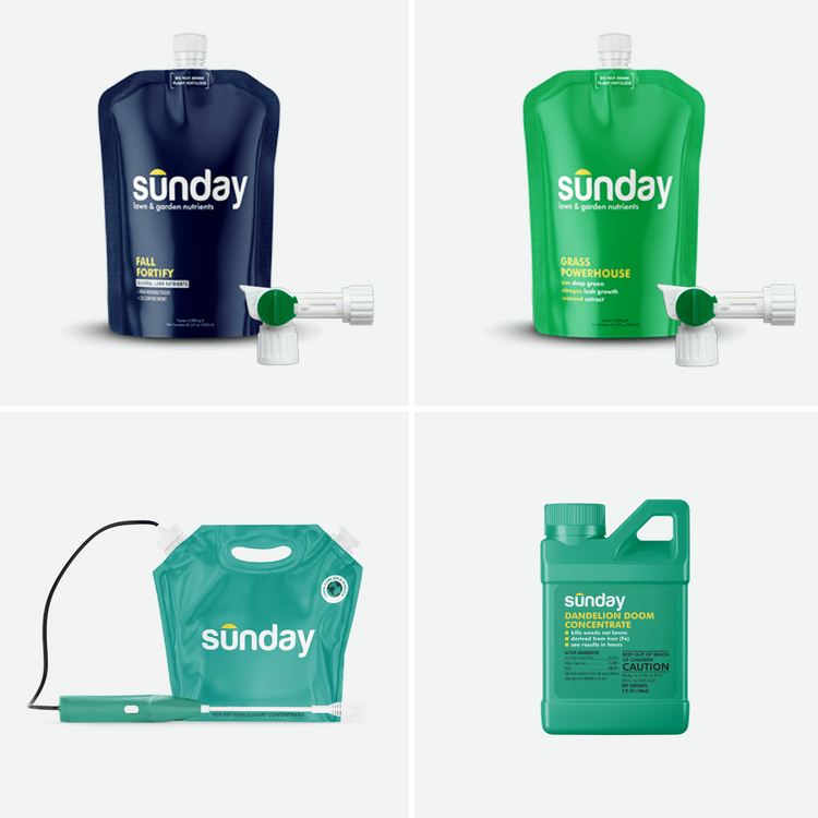 Fall Lawn Kit