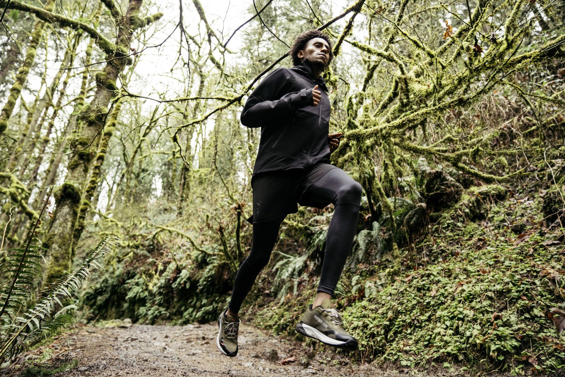 puma seasons