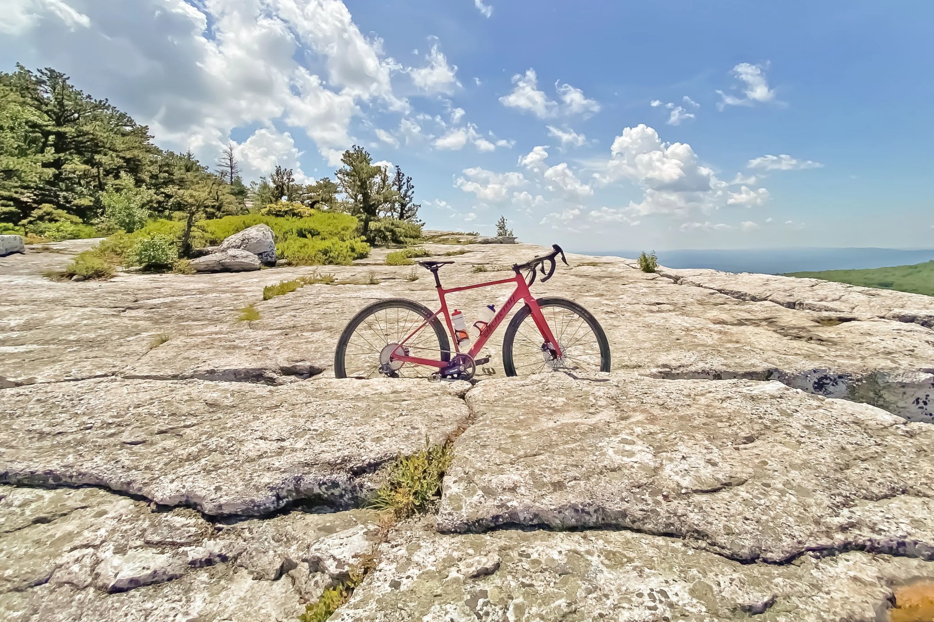 alchemy rogue gravel bike