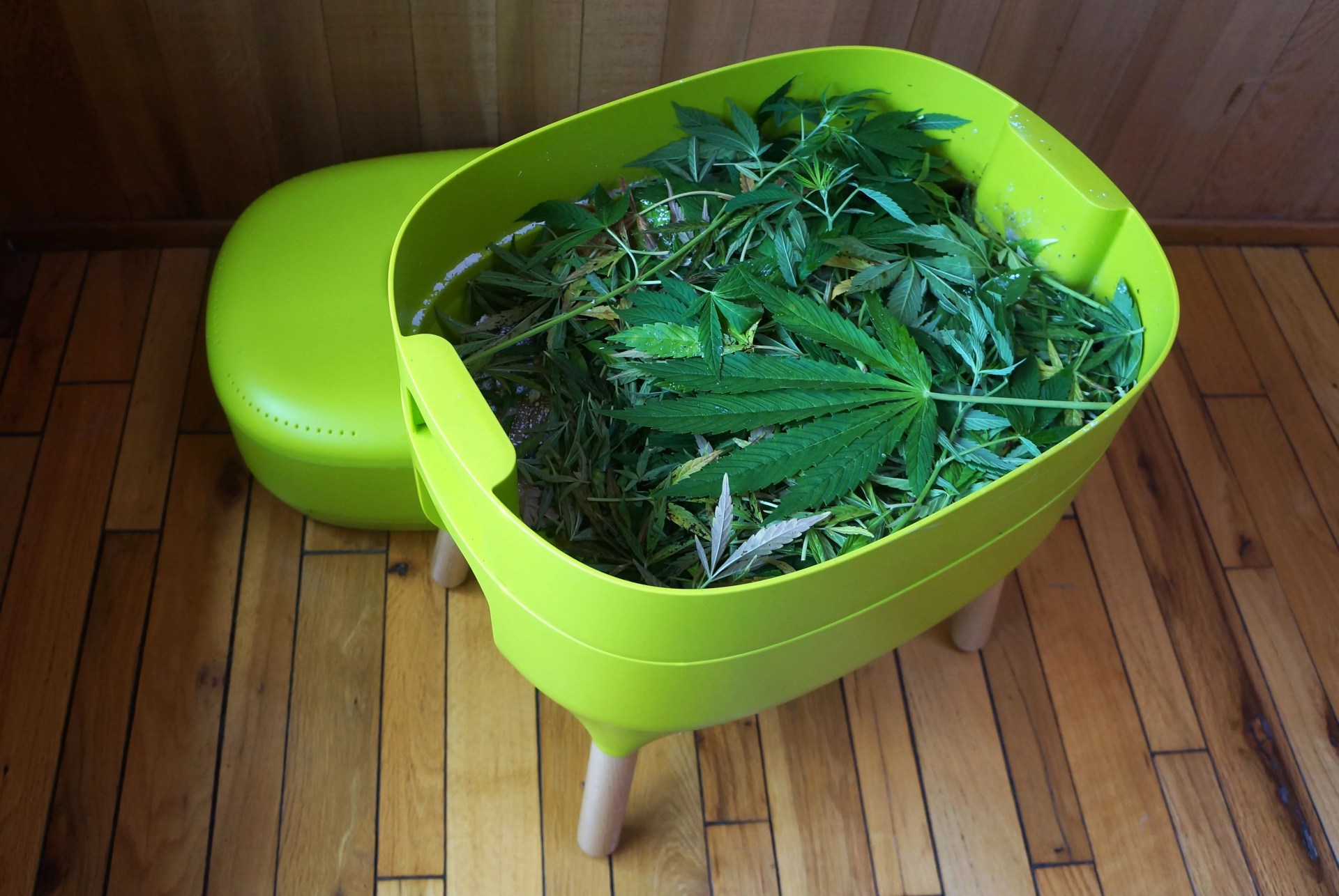 urbalive worm farm composter filled with leaves