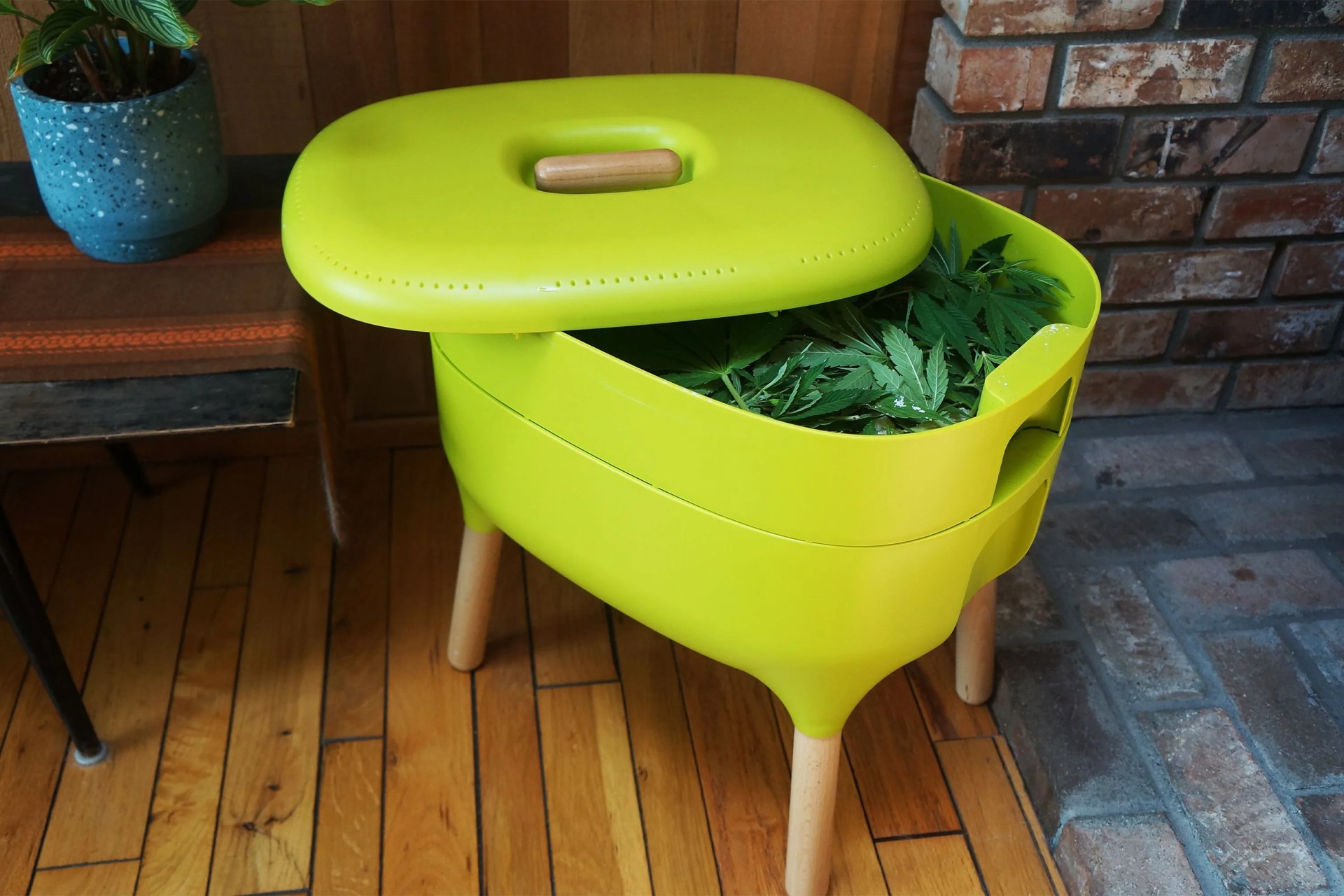 green vermicomposter with lid half off