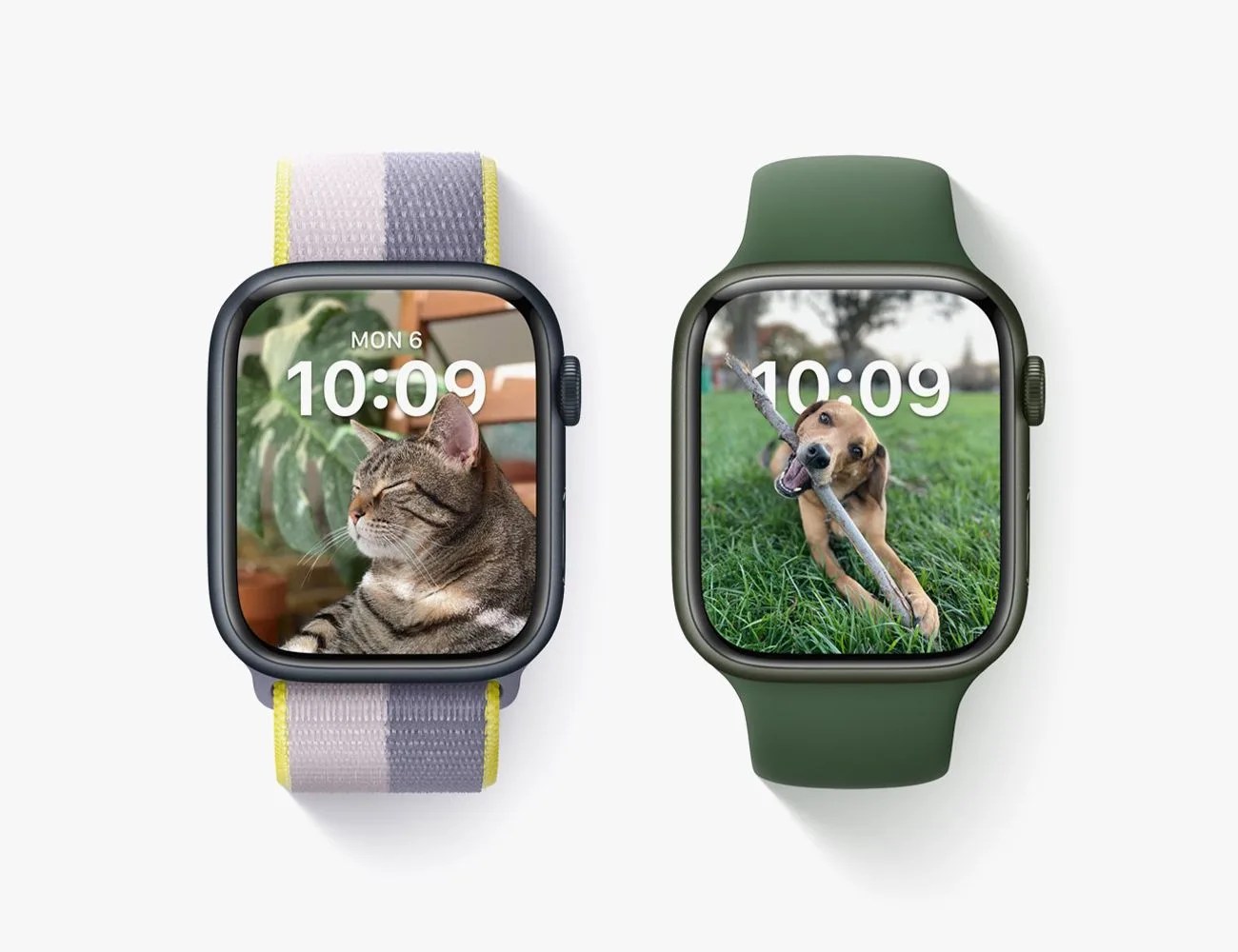 apple watch