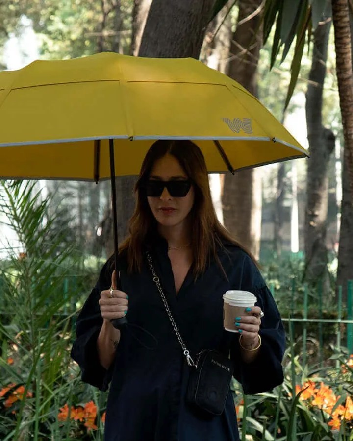 the collapsible umbrella