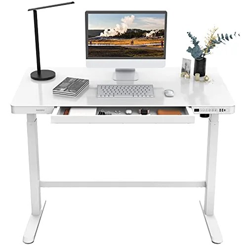 FLEXISPOT EG8 Comhar Glass Electric Standing Desk