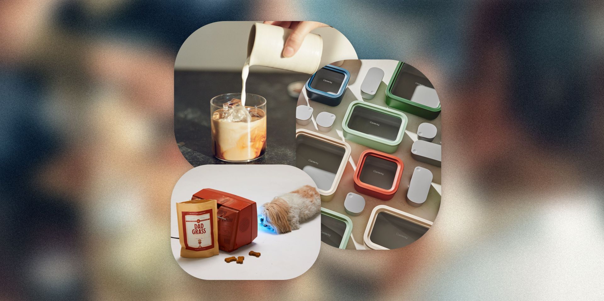 collage of a person pouring milk into coffee, caraway food storage set, and dog treats next to a dog laying by a tv