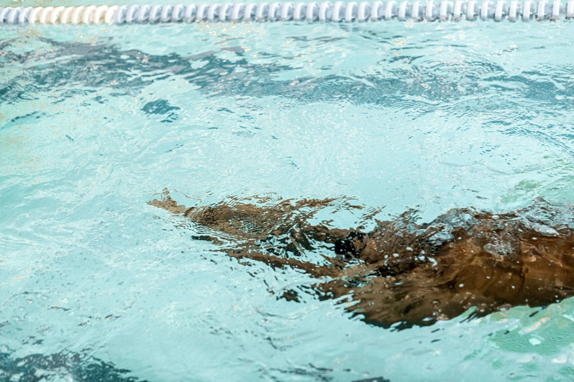 olympic gold medalist swimmer cullen jones for mikra