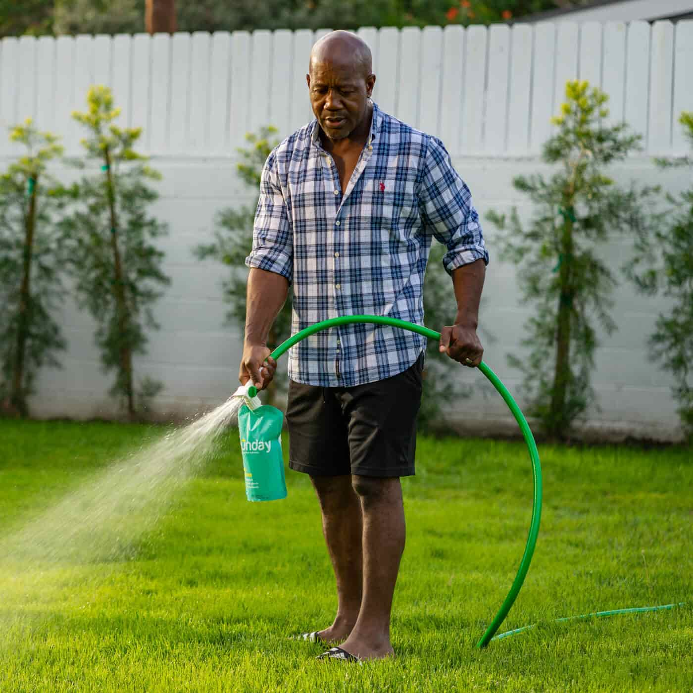 sunday lawn care