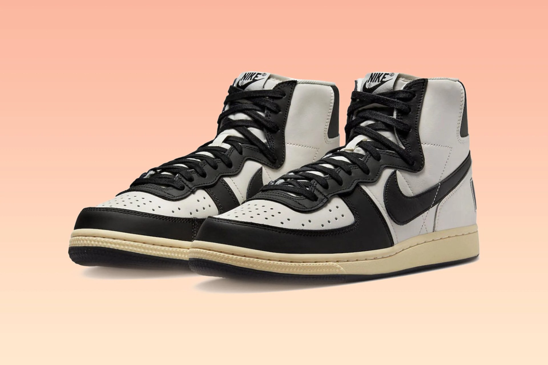 nike terminator shoe