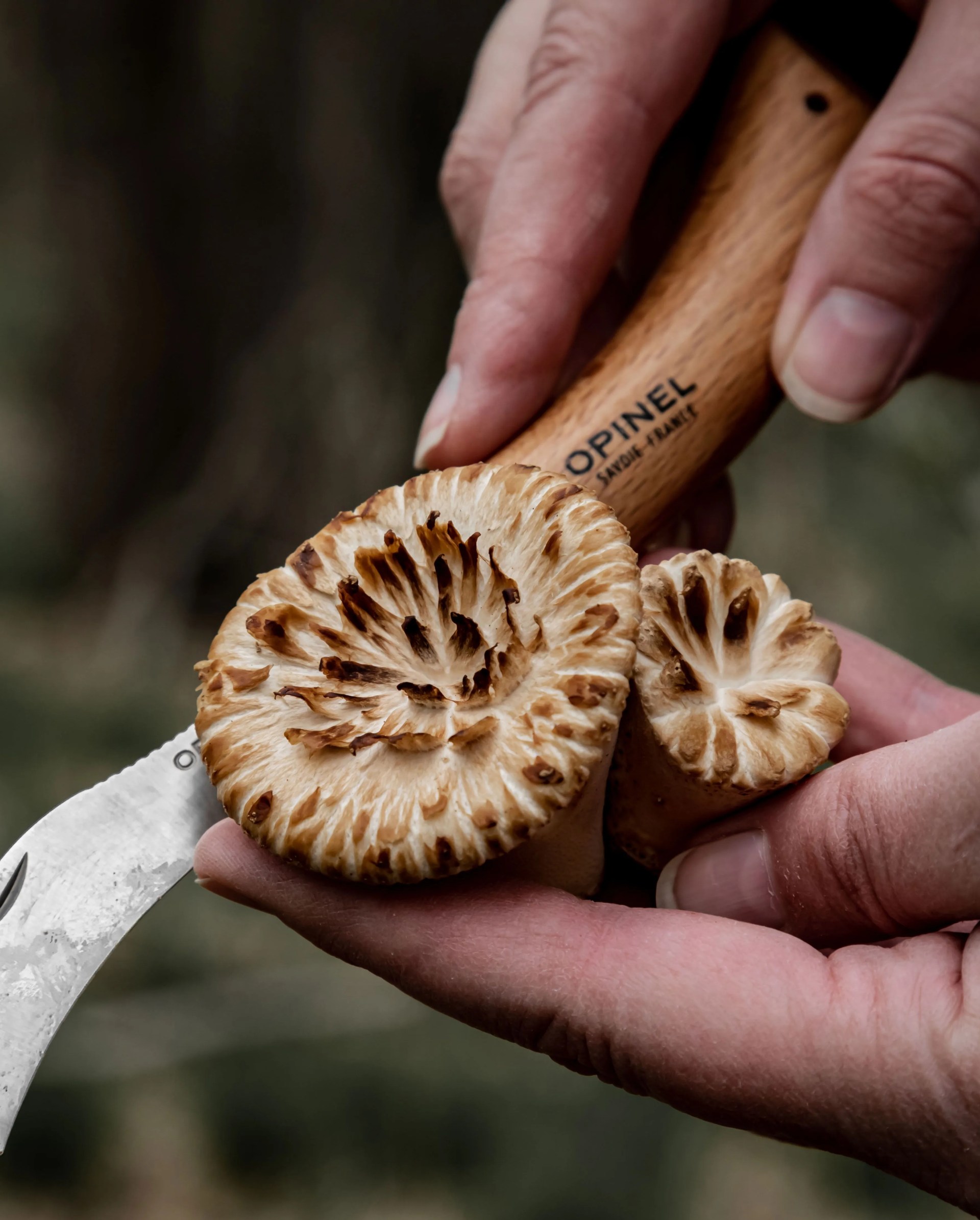 no 08 stainless steel mushroom knife