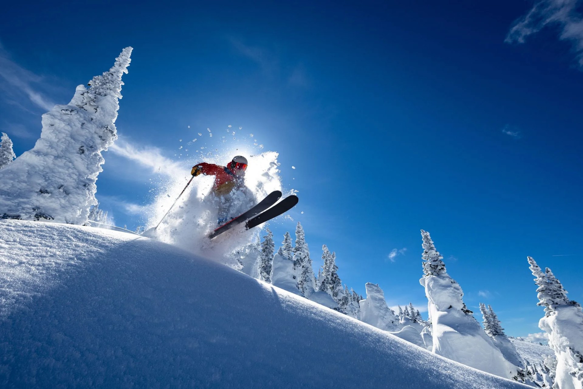 powder skiing