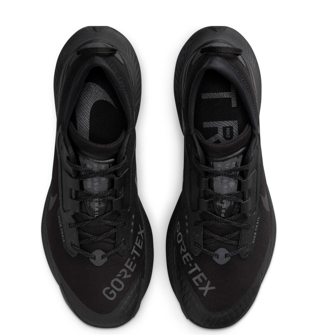 Nike Men's Pegasus Trail 3 GORE-TEX Trail Running Shoes