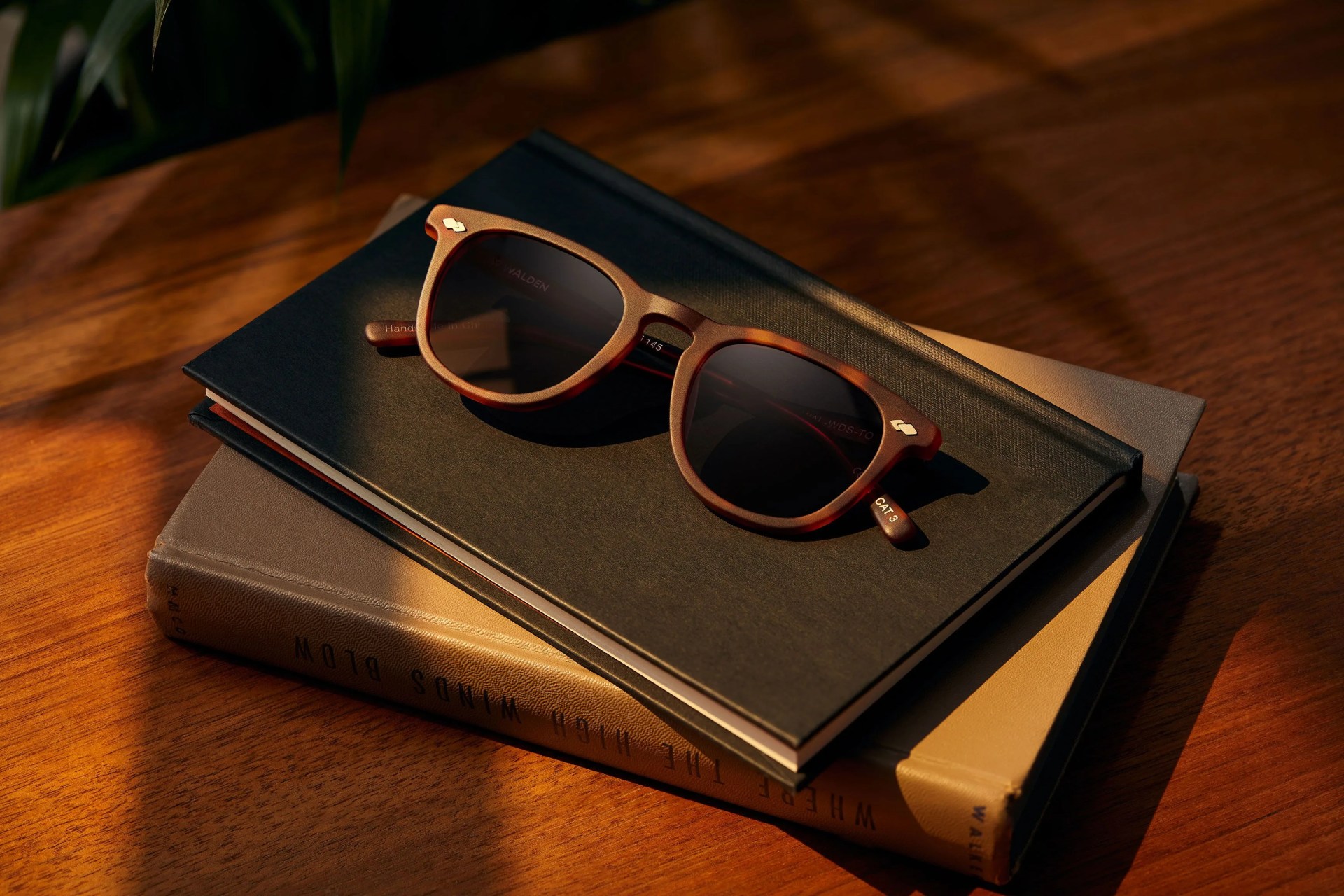 river sunglasses