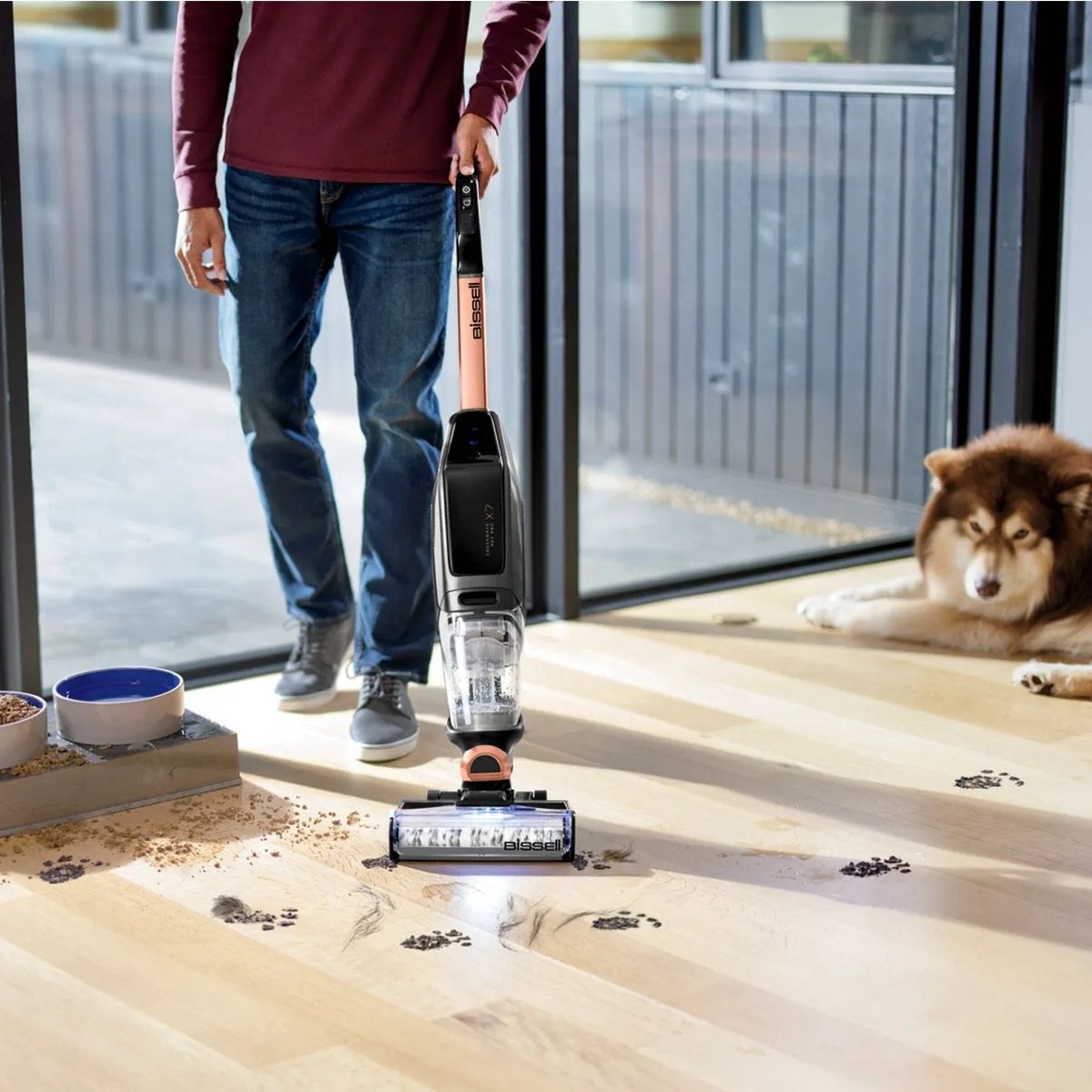 man vacuuming dirty paw prints with bissell vacuum
