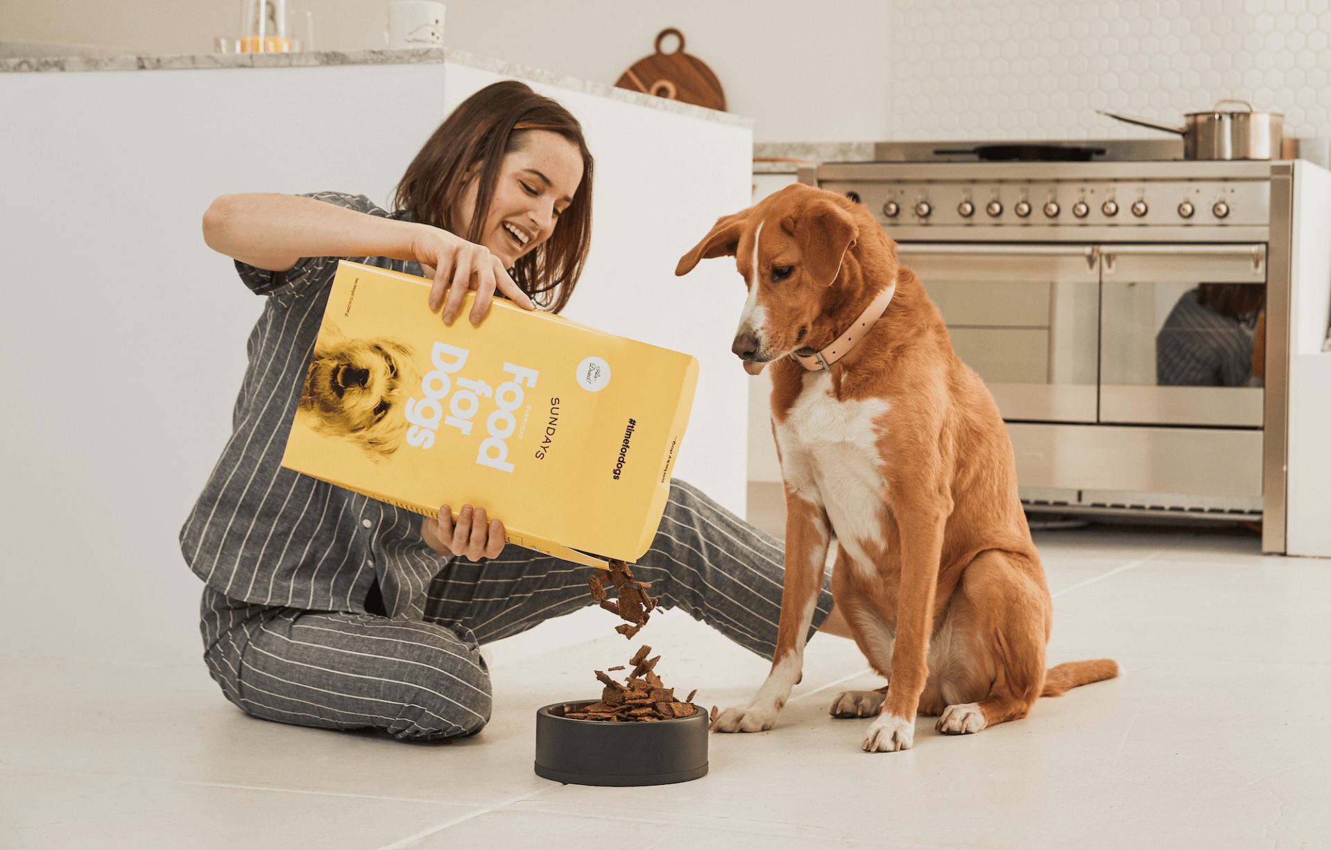 sundays for dogs food