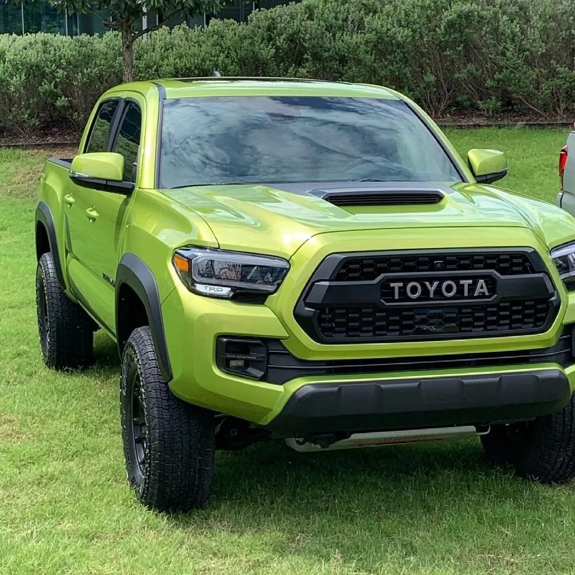 toyota tacoma