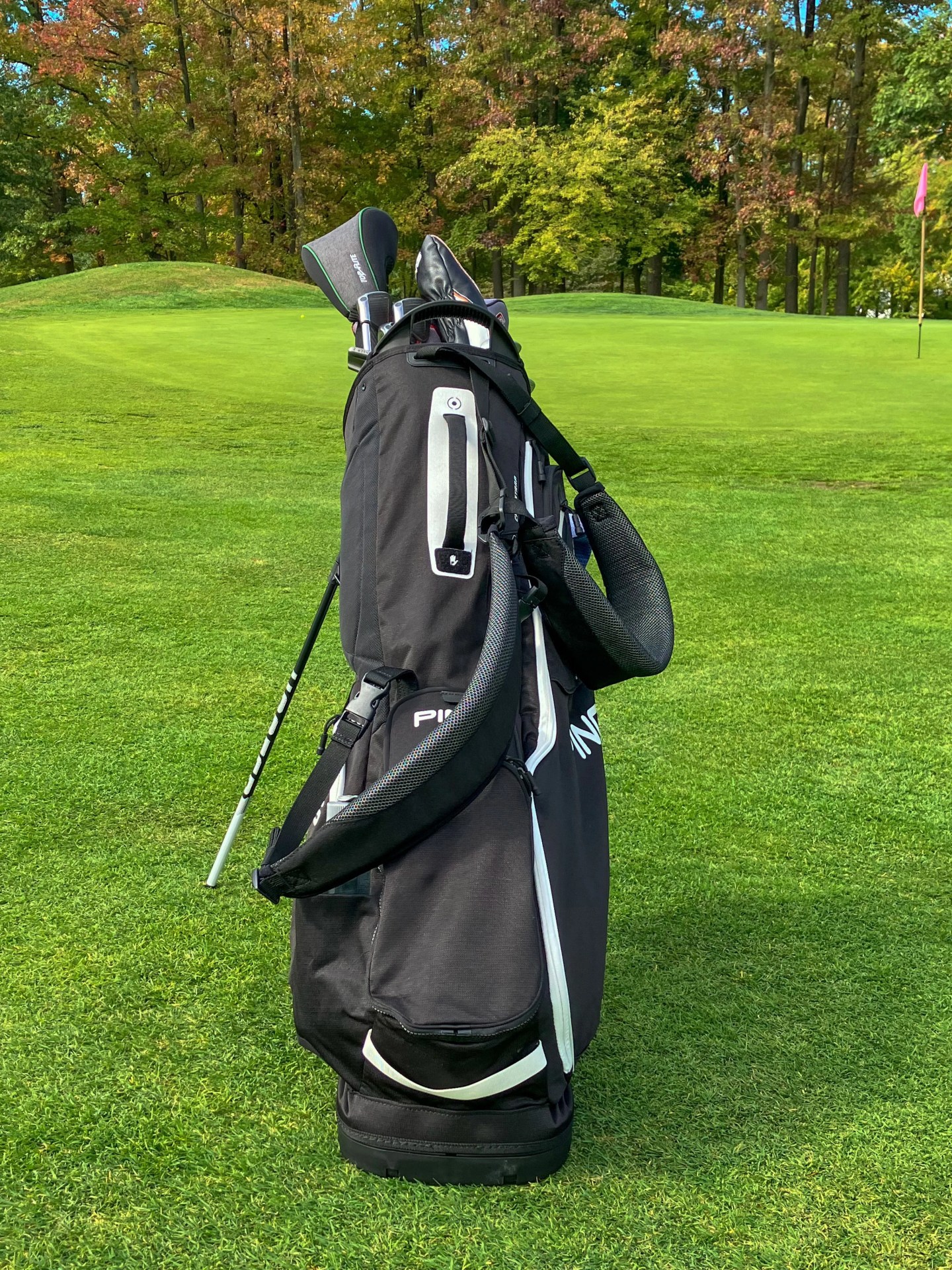 ping hoofer stand golf bag on a golf course