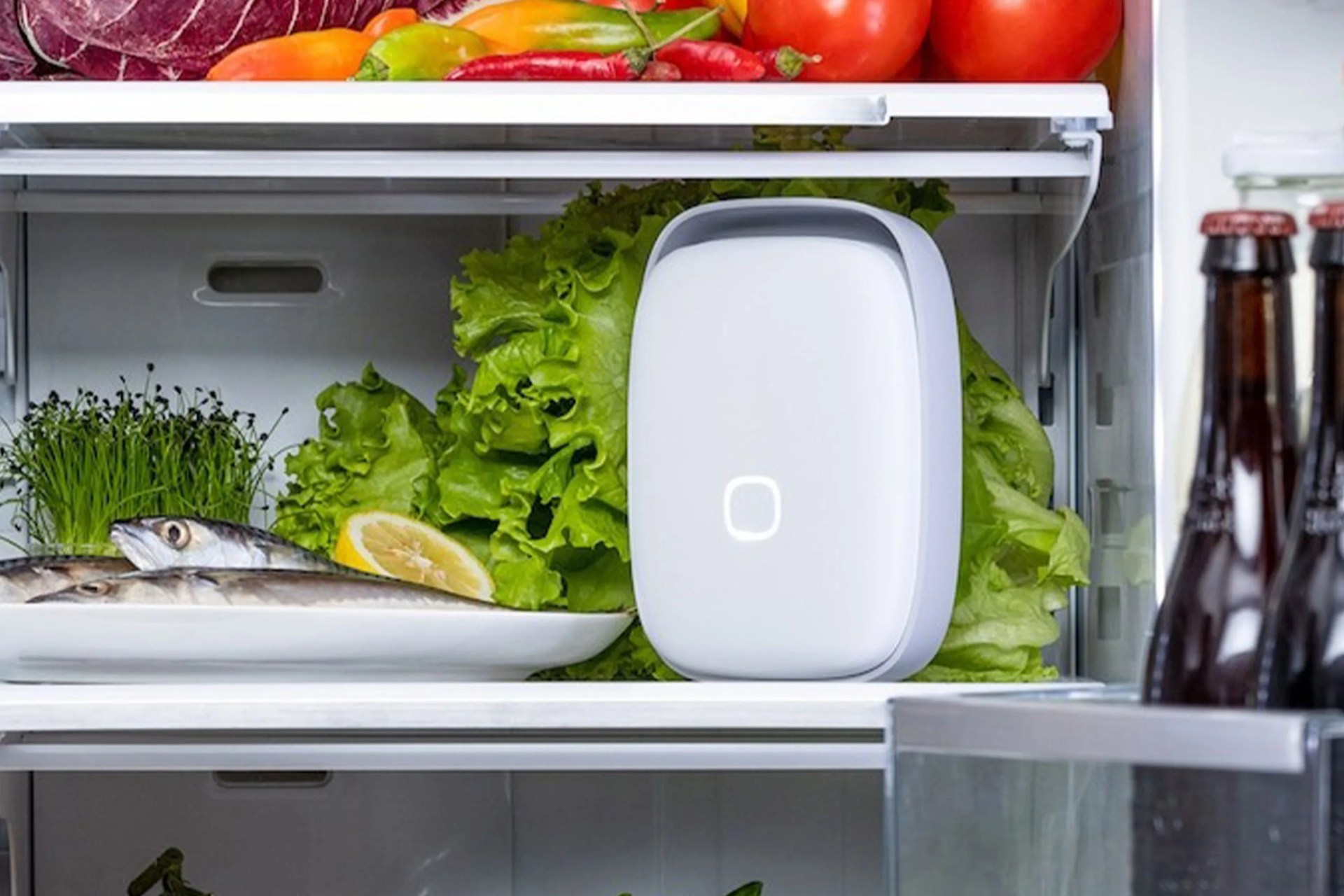 shelfy smart device
