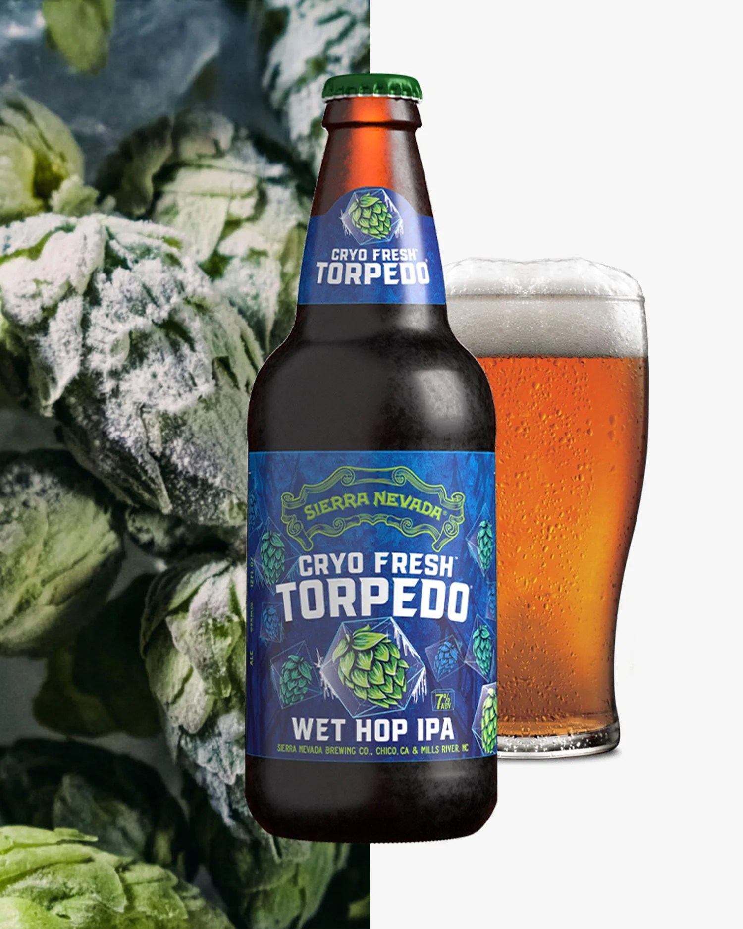 sierra nevada cryo fresh torpedo ipa