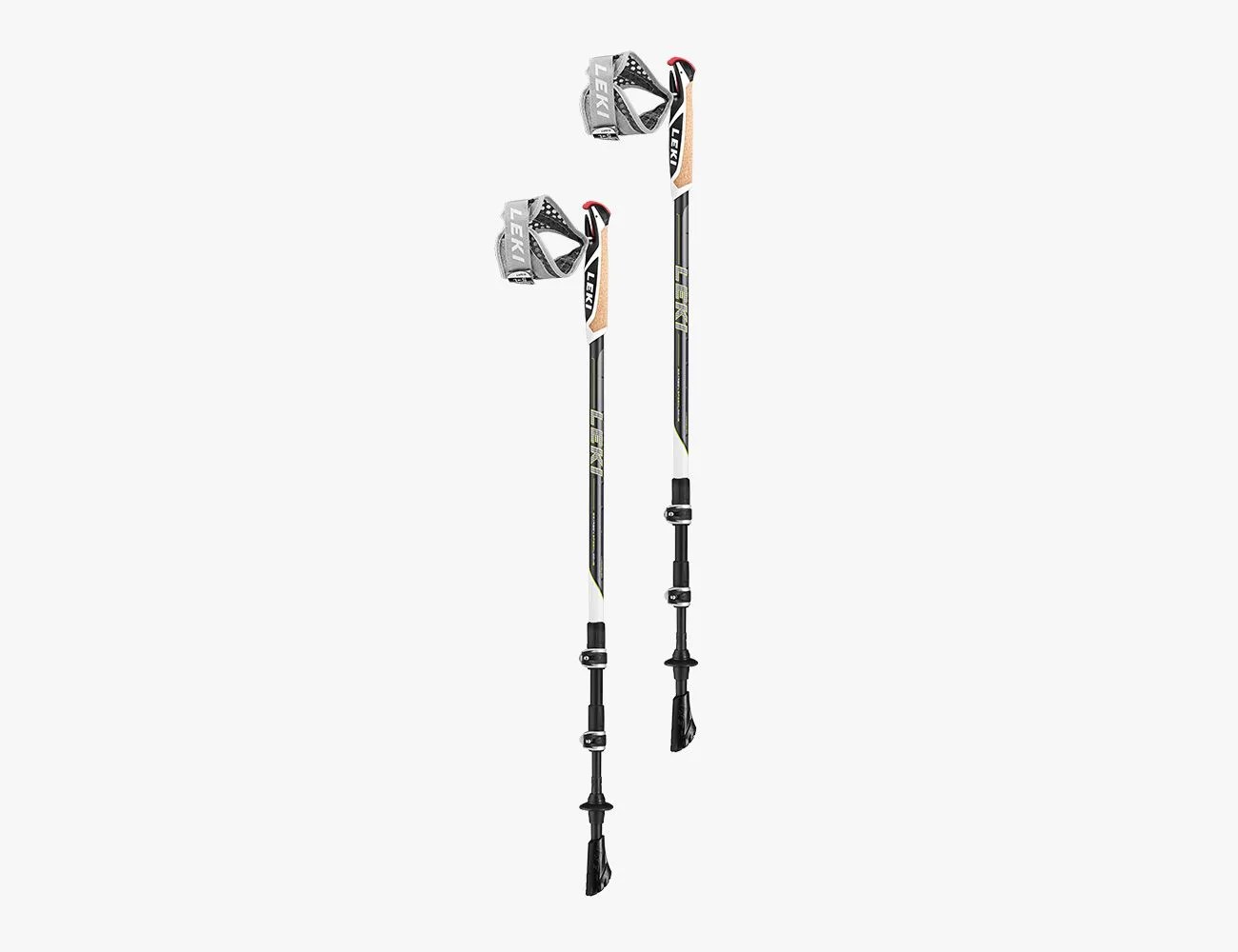 nordic walking poles