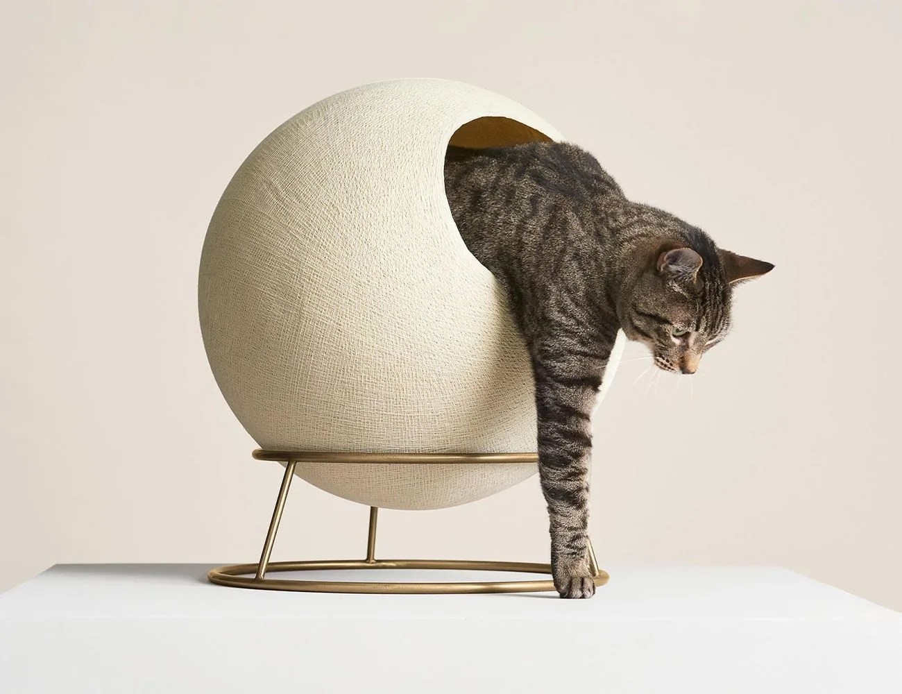 tuft paw stellar cat bed