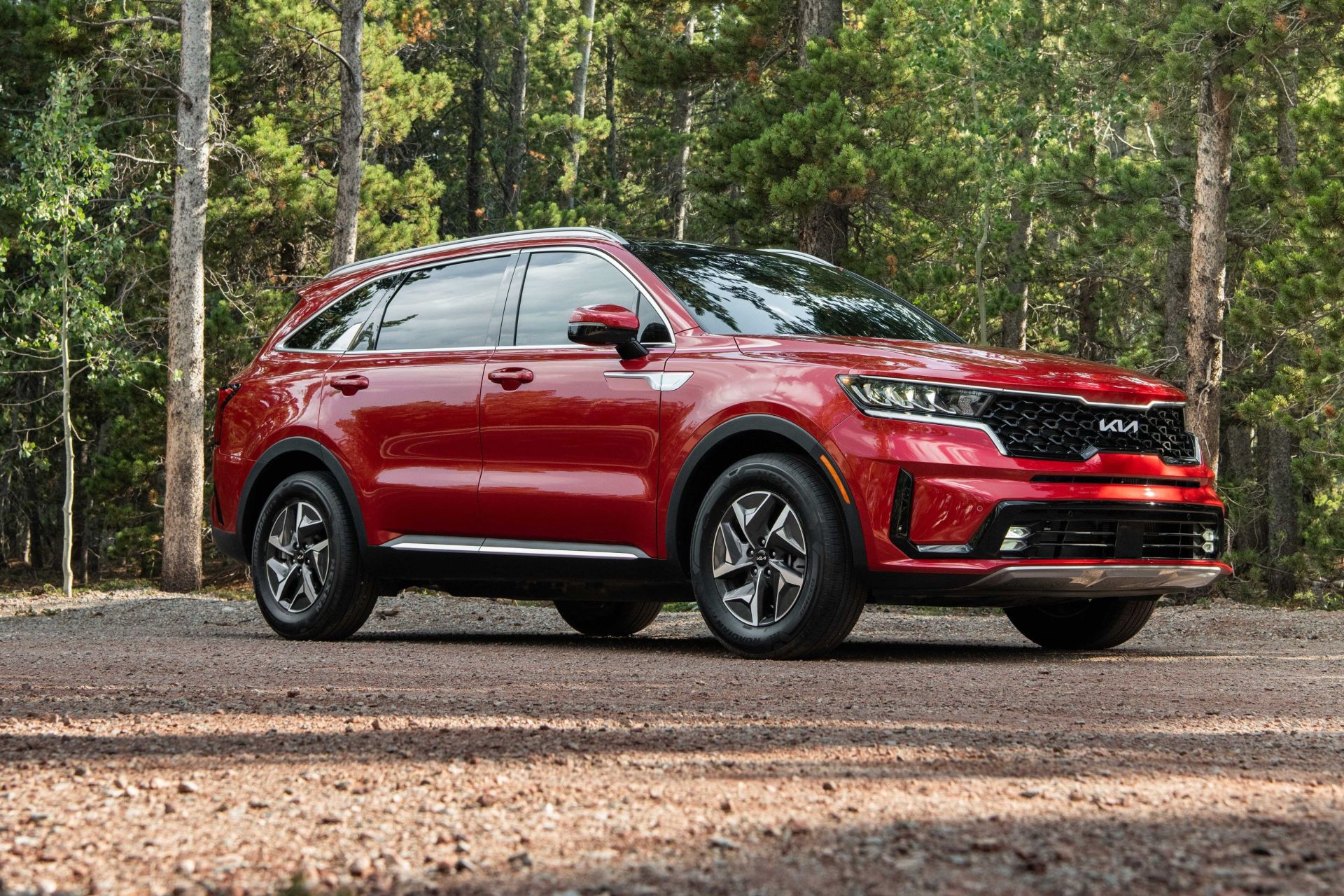 kia sorento hybrid parked in the woods