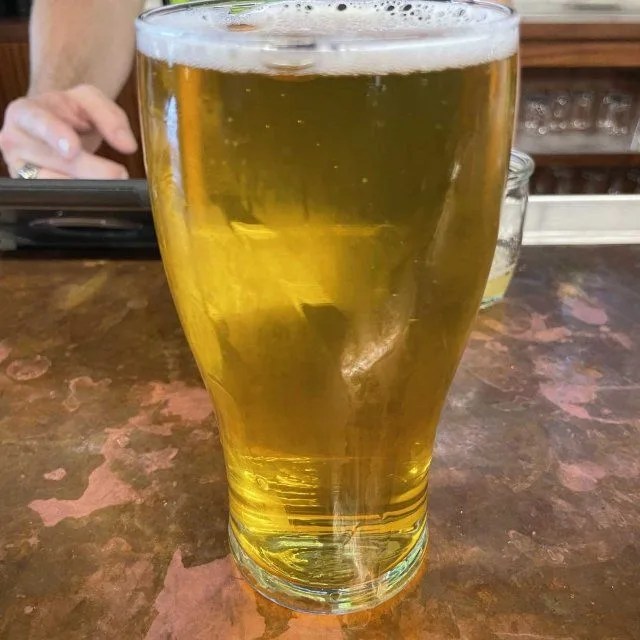green bench snake arms beer in glass
